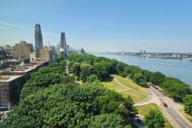 Planting some tree species may worsen, not improve, NYC air, says ...