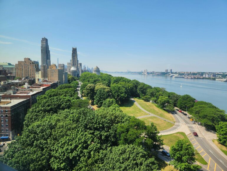 Planting some tree species may worsen, not improve, NYC air, says ...