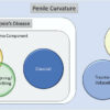 PTNM' system provides new classification for Peyronie's disease ...