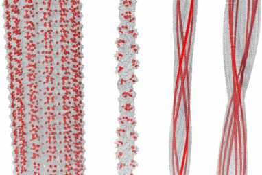 Quantum optical phenomenon in the brain challenges conventional ...