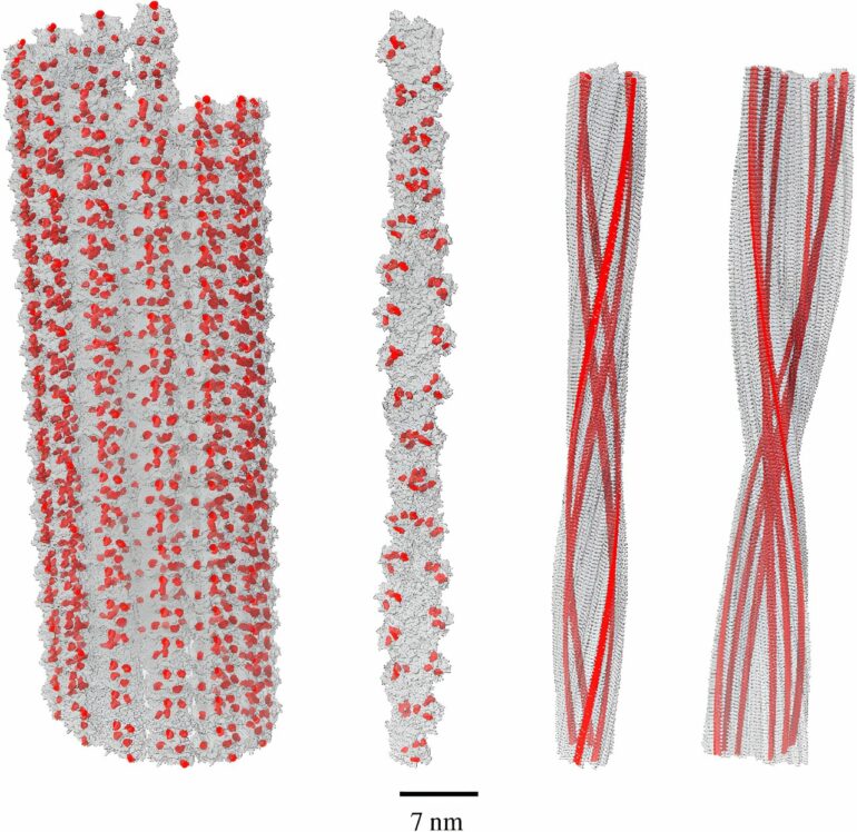 Quantum optical phenomenon in the brain challenges conventional ...