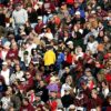 Research demonstrates genetically diverse crowds are wiser