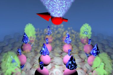 Researchers create entangled quantum magnets with protected ...