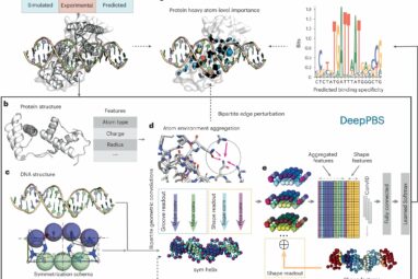 Researchers develop AI model that predicts the accuracy of protein ...