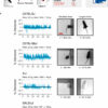 Researchers develop stress-free method to weigh mice using ...