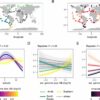 Researchers make breakthrough in understanding species abundance