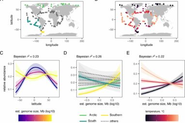 Researchers make breakthrough in understanding species abundance