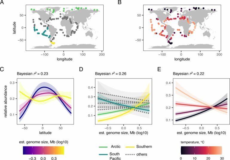 Researchers make breakthrough in understanding species abundance