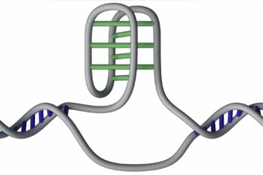 Researchers map 50,000 of DNA's mysterious 'knots' in the human genome