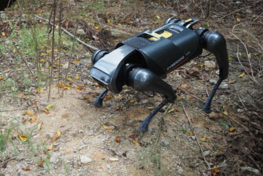 Researchers train a robot dog to combat invasive fire ants