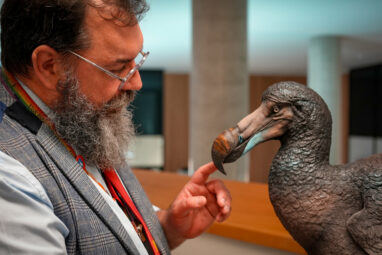 Review of 400 years of scientific literature corrects the Dodo ...