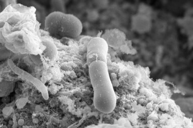 Scientists discover superbug's rapid path to antibiotic resistance