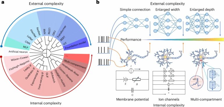 Scientists establish brain-inspired network model to bridge AI and ...