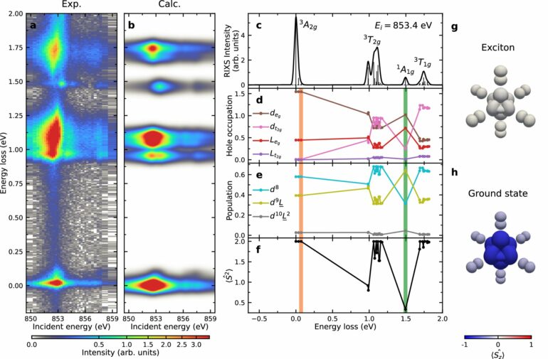 Scientists uncover exciton behavior in van der Waals magnets