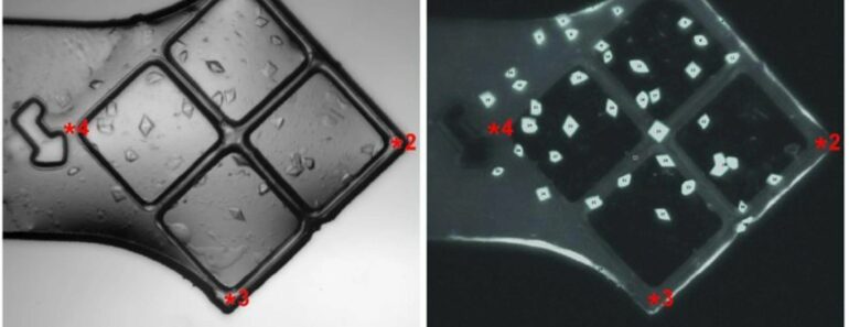 Scientists unlock the secrets of how a key protein converts DNA ...