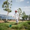 Solar-Powered Farming Is Quickly Depleting the World's Groundwater ...