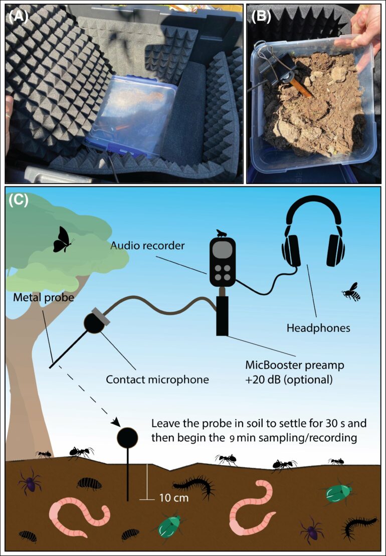 Soundscape study shows how underground acoustics can amplify soil ...