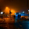 Streetlights running all night makes leaves so tough that insects ...