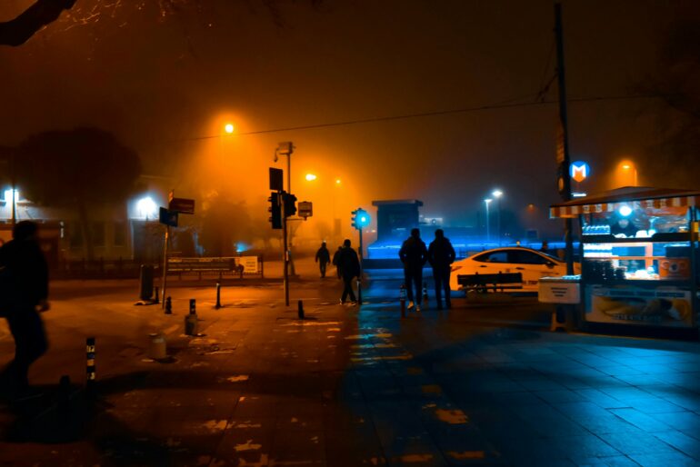 Streetlights running all night makes leaves so tough that insects ...