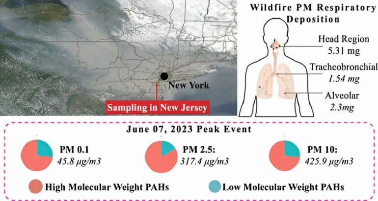 Study reveals Canadian wildfires are affecting US air quality and ...