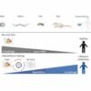 Study reveals how intermittent fasting regulates aging through ...