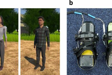 Synchronized foot vibrations improve virtual walking experiences ...