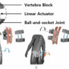 Improving workplace safety: The Bilateral Back Extensor Exosuit