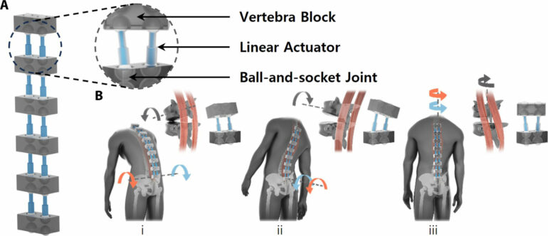 Improving workplace safety: The Bilateral Back Extensor Exosuit