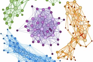 The structure of sound: Network insights into Bach's music