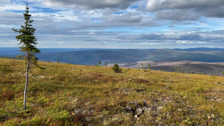 Tundra vegetation to grow taller, greener through 2100, study finds