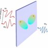 Ultrathin quantum light sources: Scientists show excitonic ...