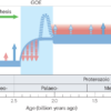 Co‐evolution of early Earth environments and microbial life ...