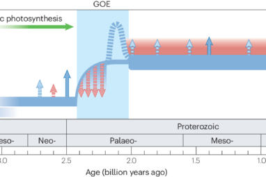 Co‐evolution of early Earth environments and microbial life ...