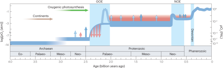 Co‐evolution of early Earth environments and microbial life ...