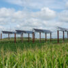 Validated simulations optimize solar power generation with row ...