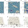 Venus' 'continents' suggest surprising link to early Earth