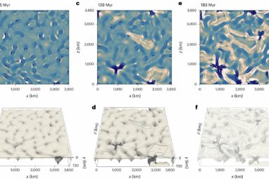 Venus' 'continents' suggest surprising link to early Earth