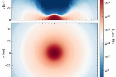 What happens to the remains of neutron star mergers?