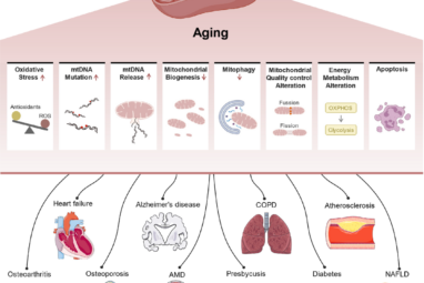 Aging and aging-related diseases: from molecular mechanisms to ...