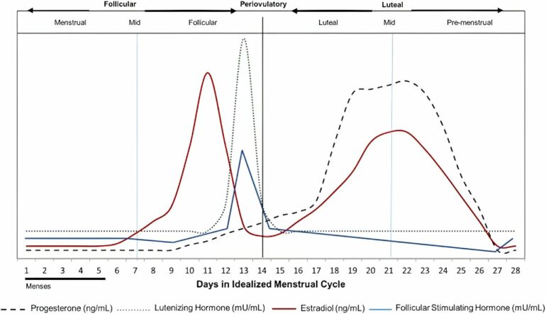 Why are migraines worse during your period? Study points to ...