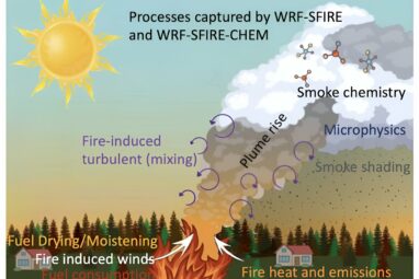 Wildfires can create their own weather, further spreading the ...