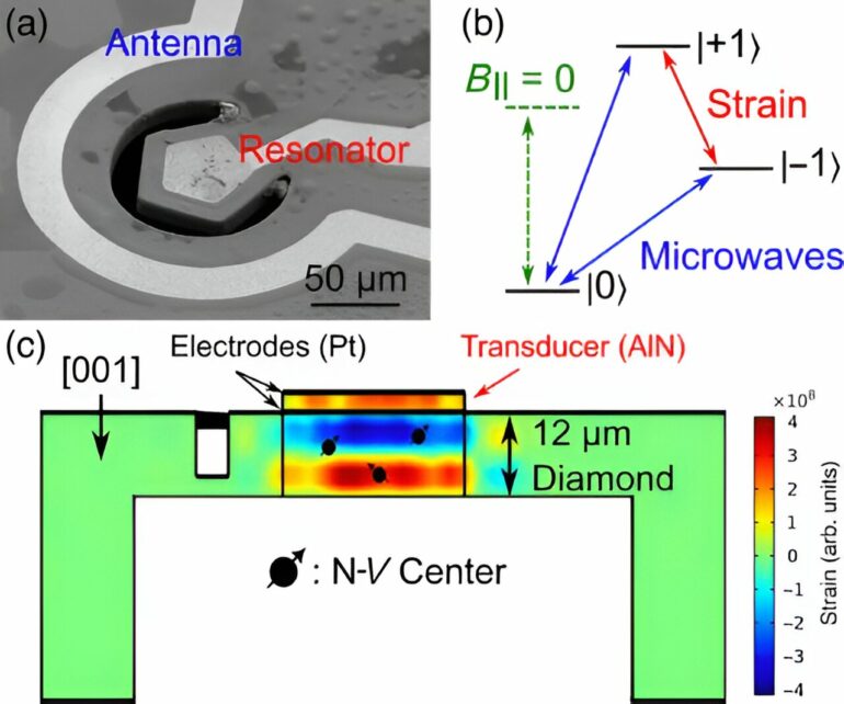 X-ray imagery of vibrating diamond opens avenues for quantum sensing