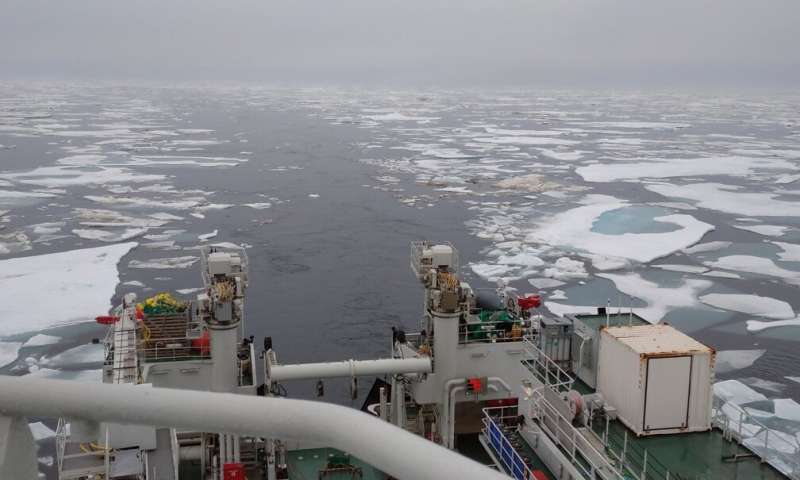 Promising antibiotic candidates discovered in microbes deep in the Arctic Sea