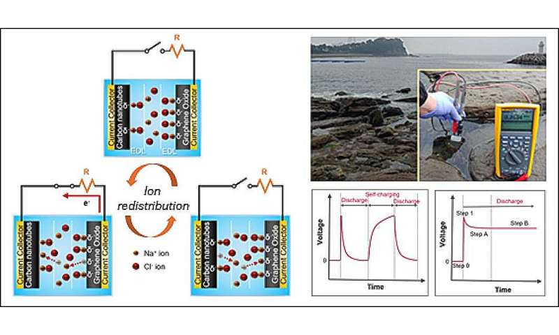 Self-charging energy harvester generates electricity from seawater