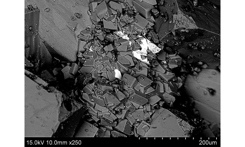 First evidence of life colonizing deep into the bedrock of Greenland