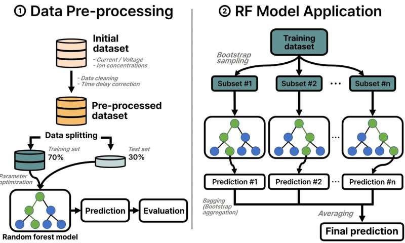 Artificial intelligence helps produce clean water