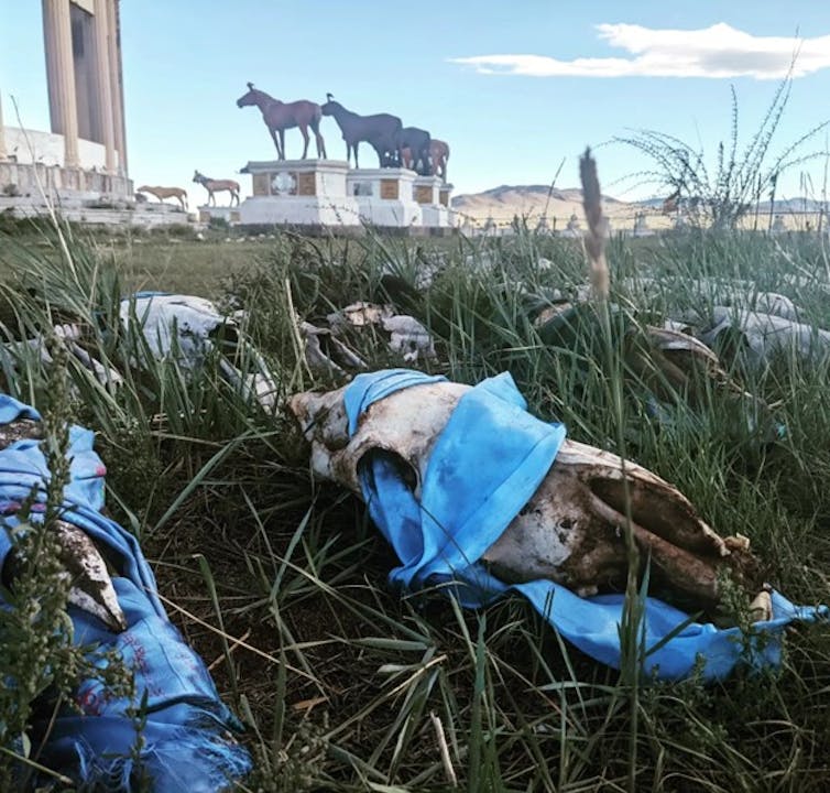 bones wrapped in fabric on the grass, with statues of horses in the background