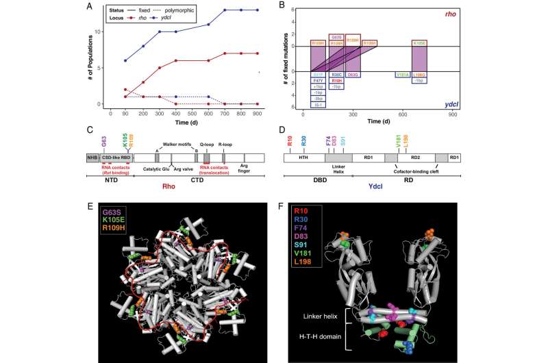 Evolved in the lab, found in nature: Uncovering hidden pH sensing abilities