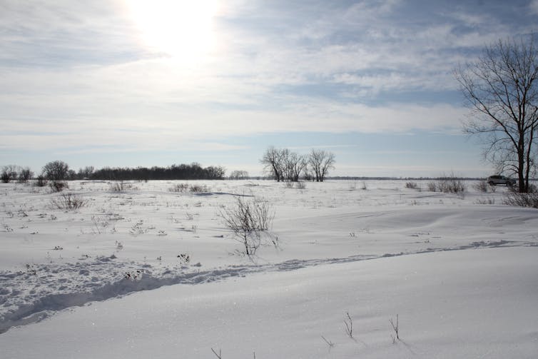 Barren field covered in snow under weak sunlight