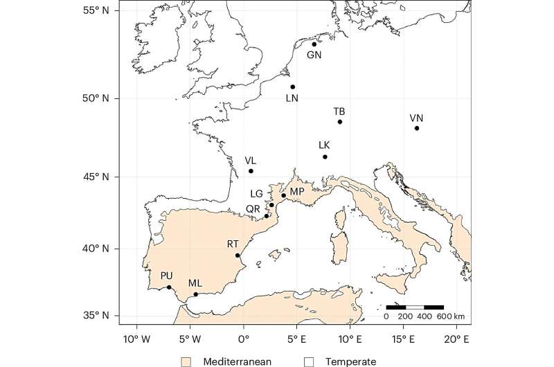 The evolutionary response to global warming of the Drosophila subobscura fly accelerates at unprecedented rates